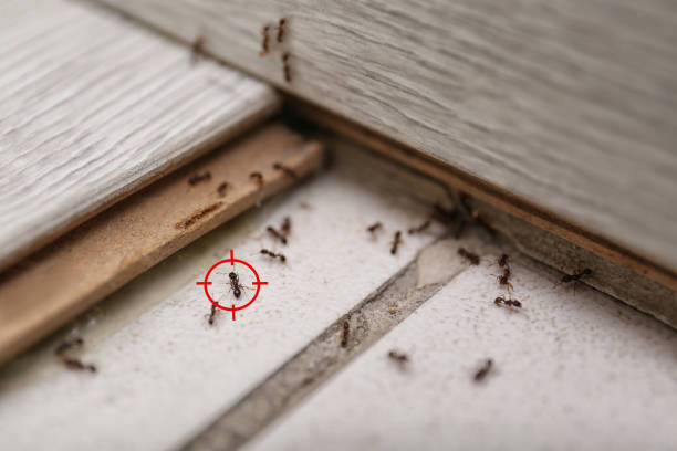 Best Pest Inspection Near Me  in Berkeley Lake, GA