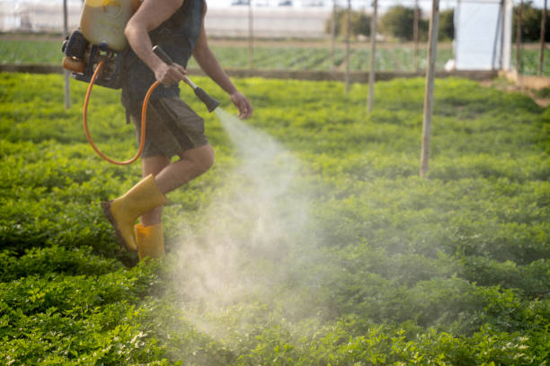 Best Pest Control Cost  in Berkeley Lake, GA