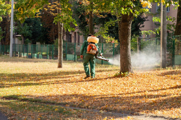 Trusted Berkeley Lake, GA Pest Control Experts