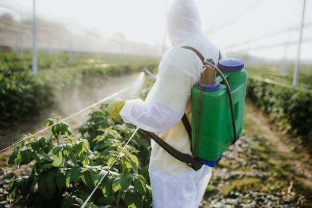 Wasp Removal Services in Berkeley Lake, GA